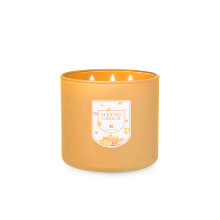 Wholesale Hot-Selling Natural Soy Scented Candle in Glass Candle Jar